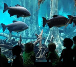 Casalet de Setembre (del 31 d'agost al 4 de setembre)