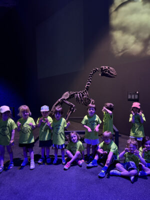 Casal setmana 2 (del 29 juny al 3 de juliol)